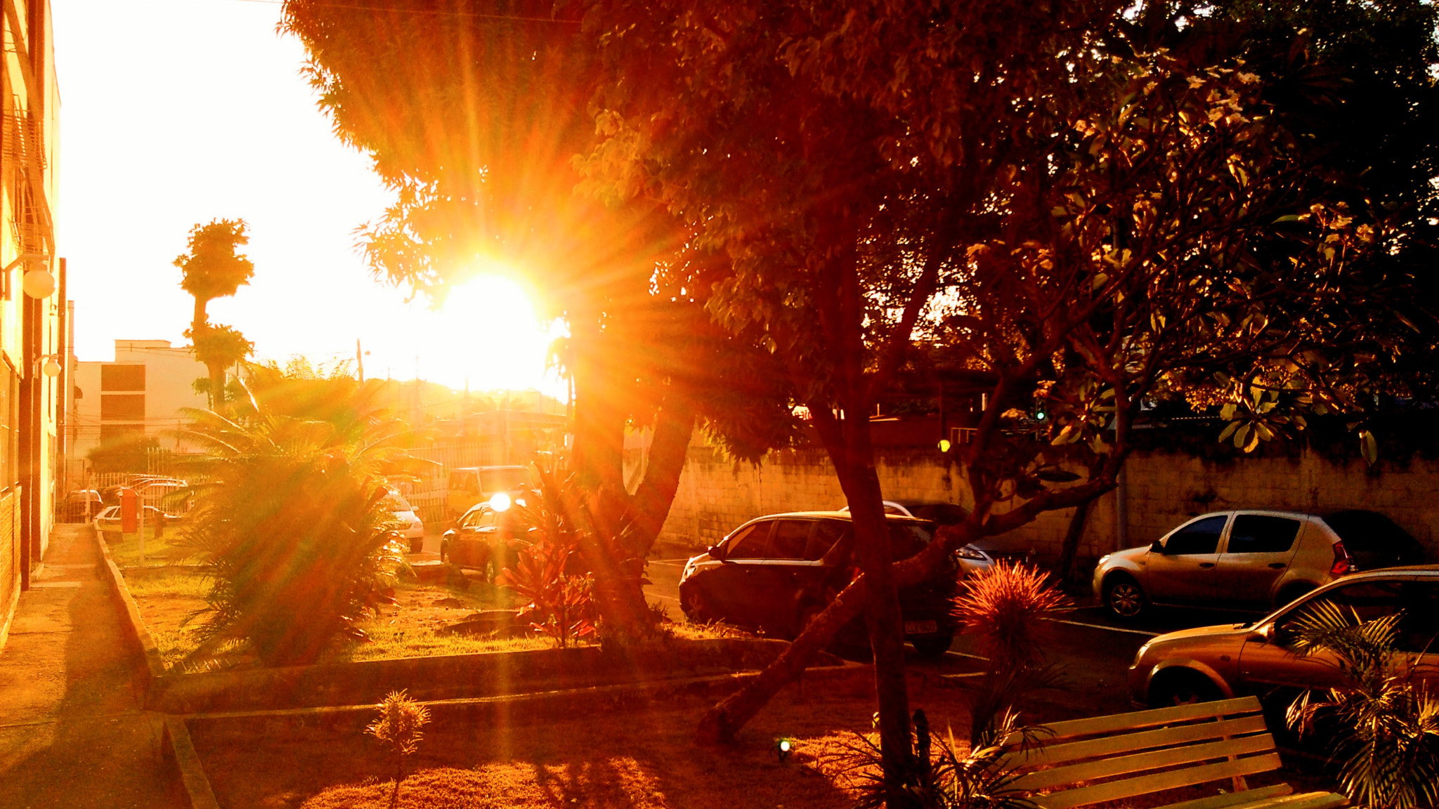 Motorola Moto G Play sample photo. Sun flare photography