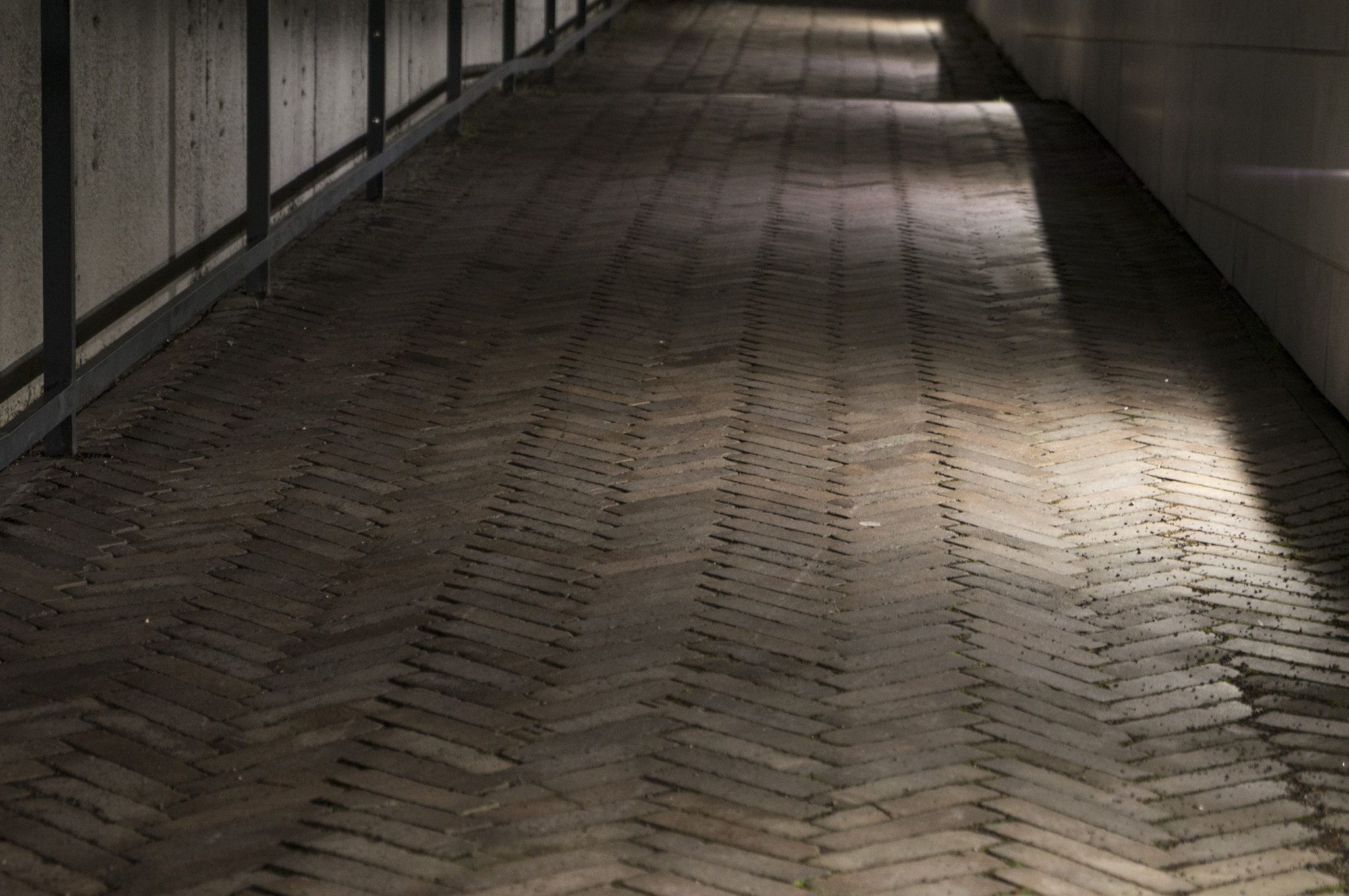 Sony SLT-A57 sample photo. Walking lights photography