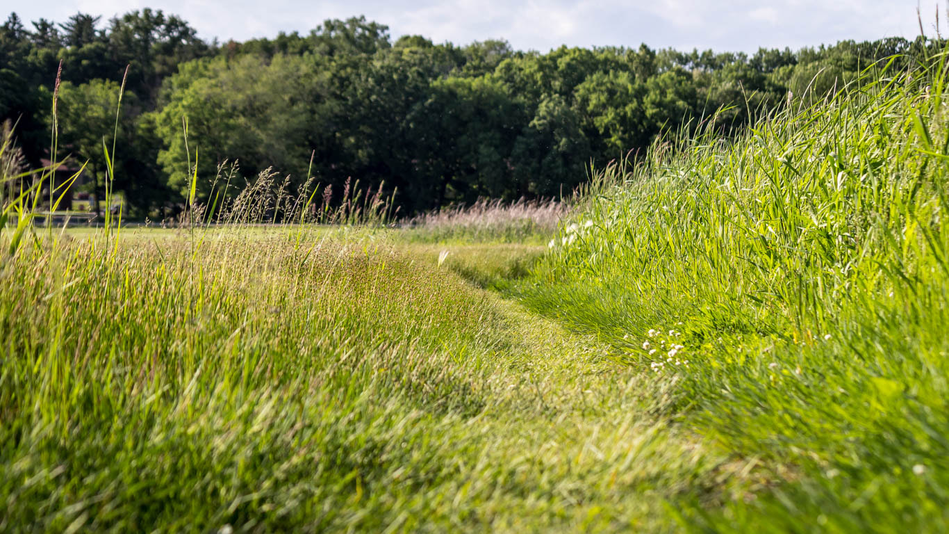 Canon EOS M10 sample photo. One nice and cool day photography