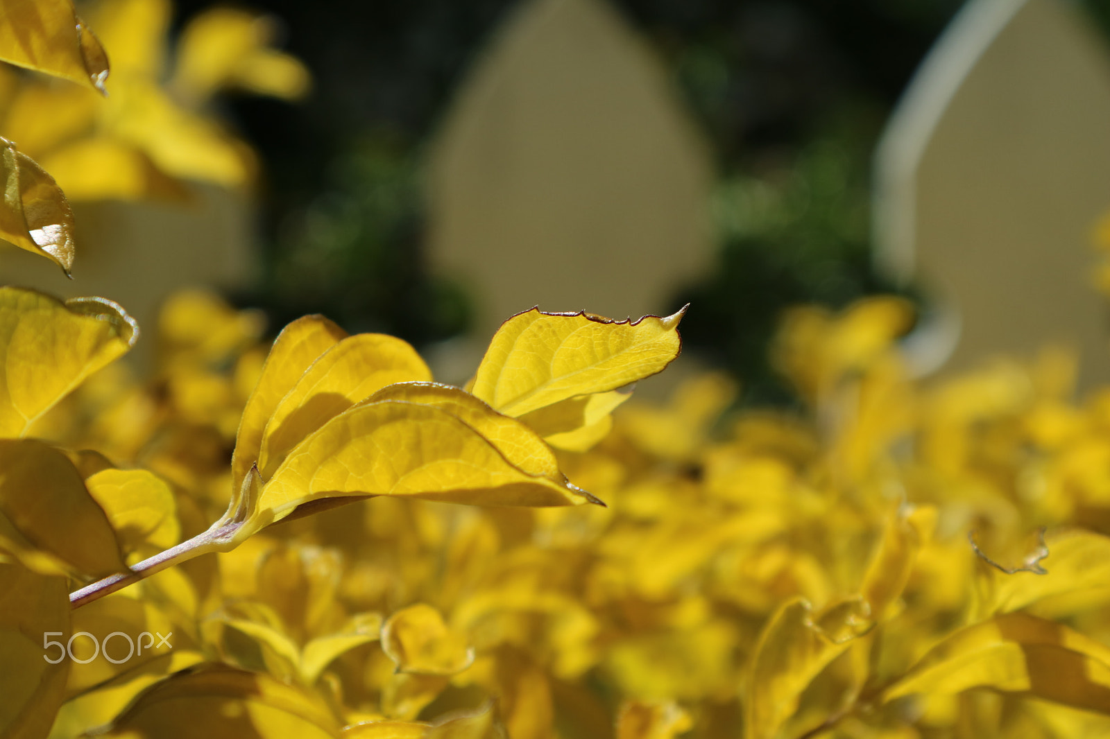 Canon EOS M3 + Canon EF-M 15-45mm F3.5-6.3 IS STM sample photo. Outside a chapel photography