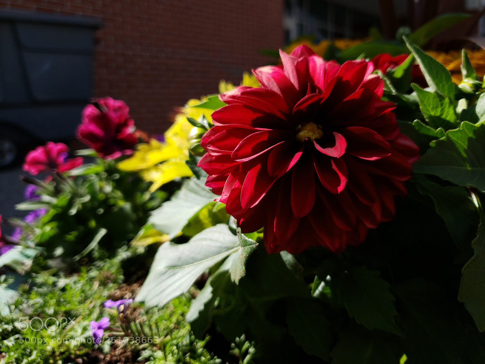 Samsung Galaxy S9 sample photo. Reddened soul photography