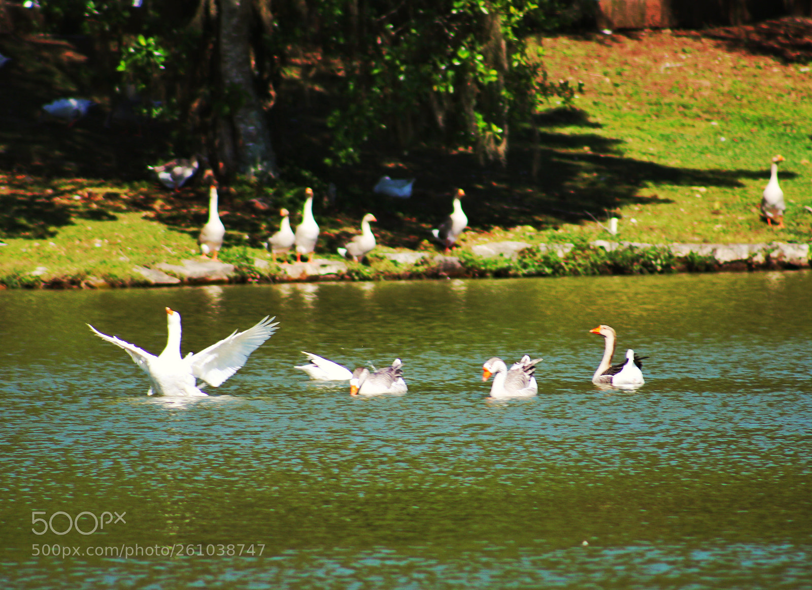 Canon EOS 750D (EOS Rebel T6i / EOS Kiss X8i) sample photo. Untitled photography