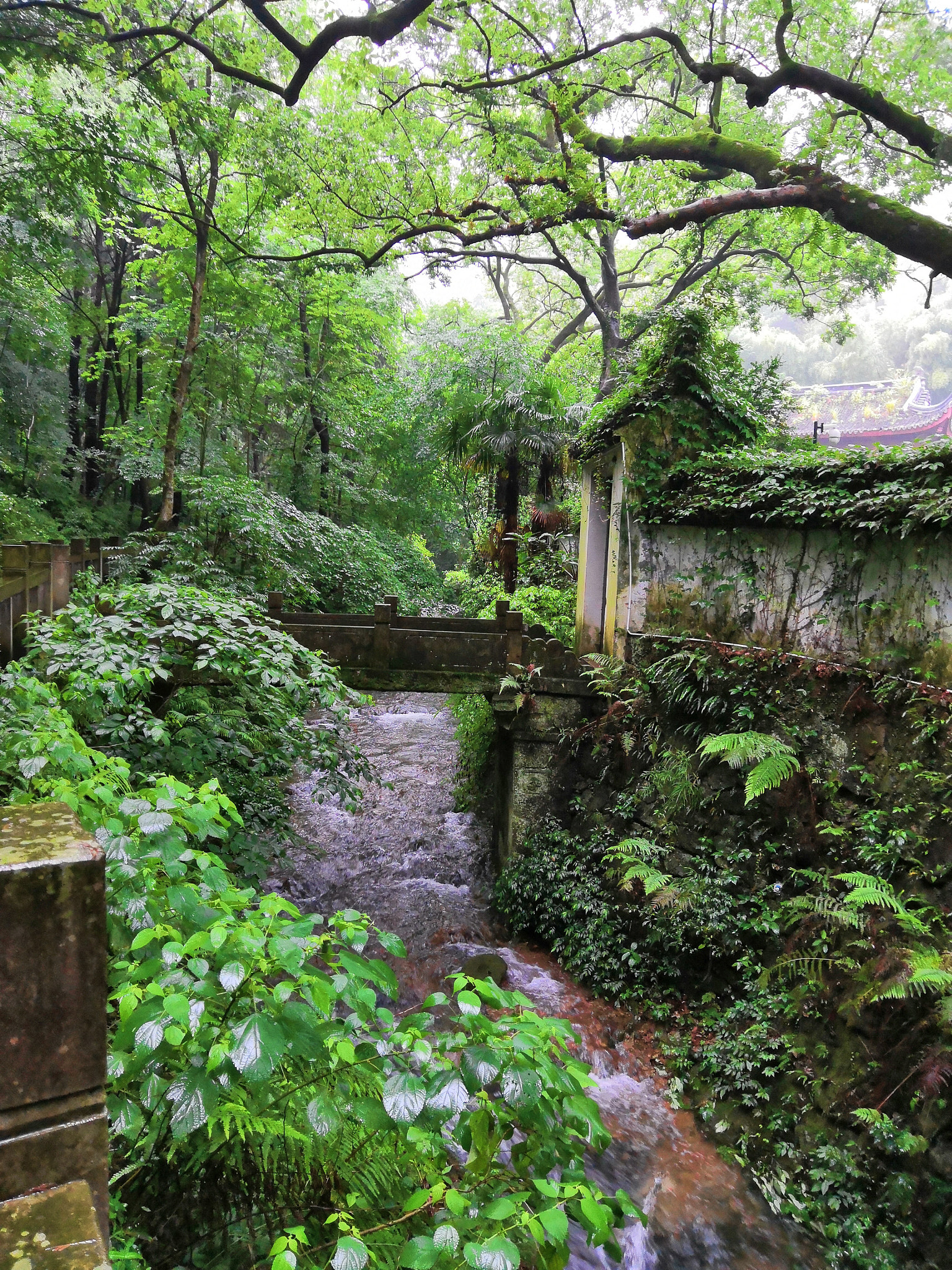 HUAWEI Honor 10 sample photo. Stream photography