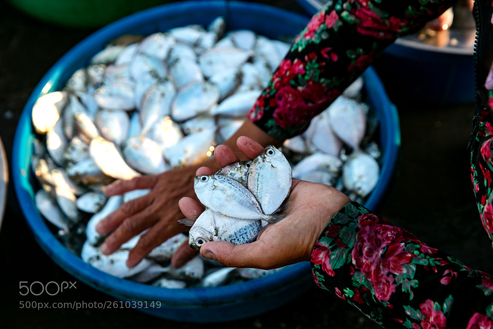 Canon EOS 5DS R sample photo. Ch c c a photography