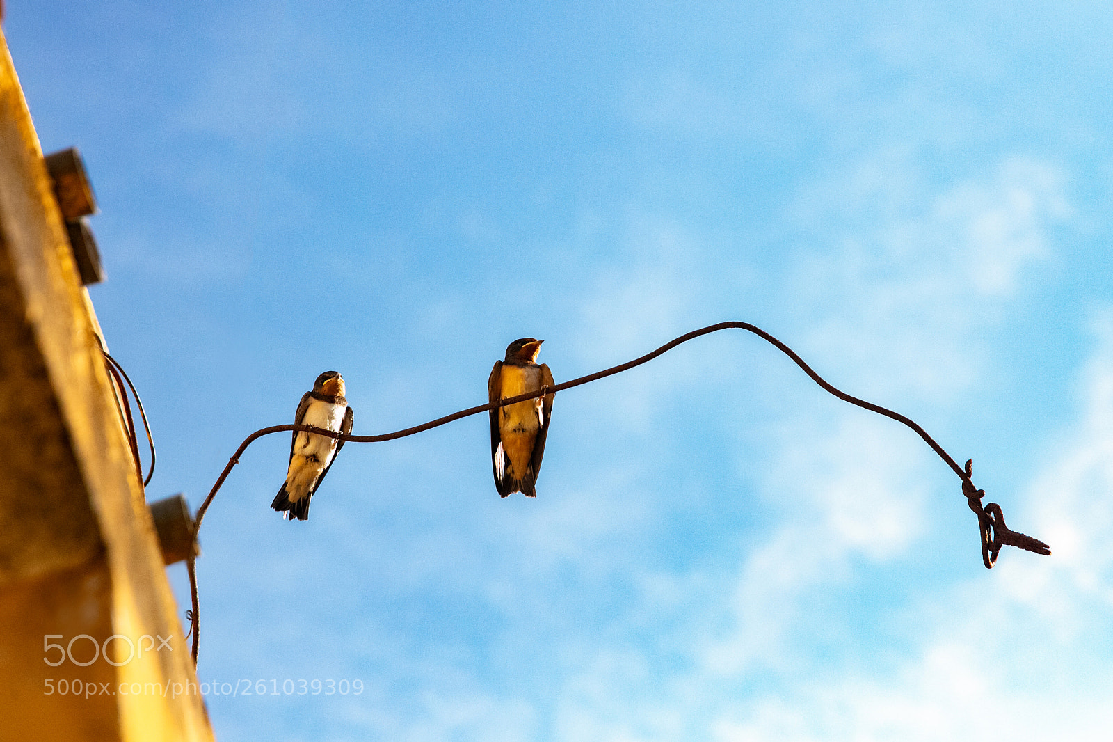Canon EOS 5DS R sample photo. 0i0a9740-1.jpg photography