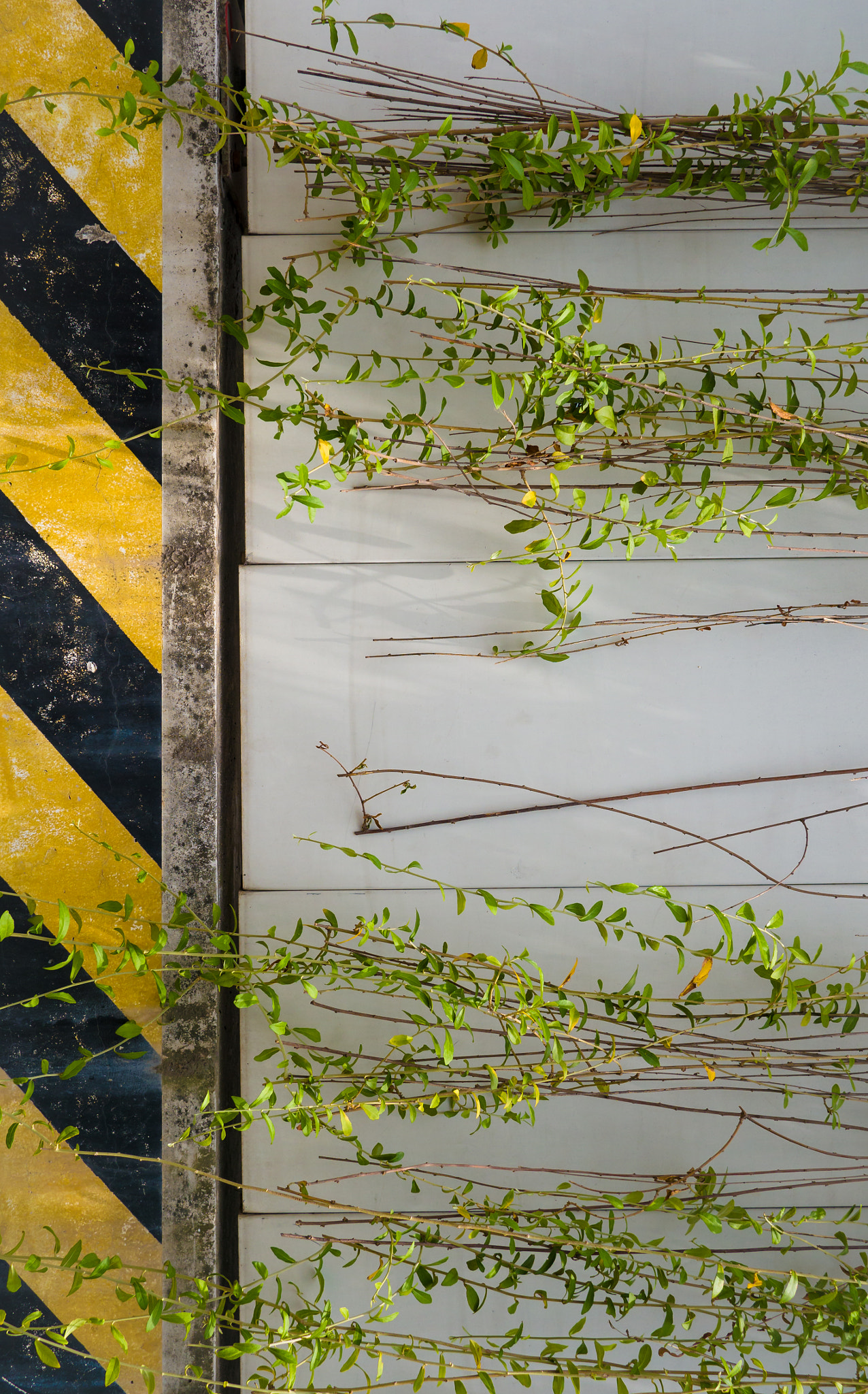 Panasonic Lumix DMC-G5 sample photo. Eco construction photography