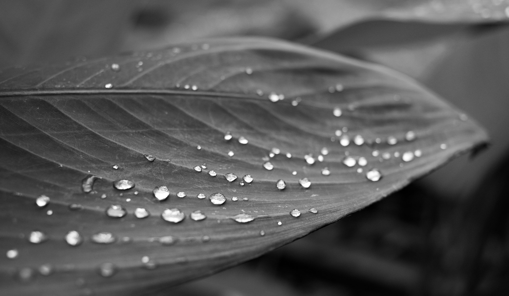 Panasonic Lumix DMC-G5 sample photo. Oh so peaceful photography