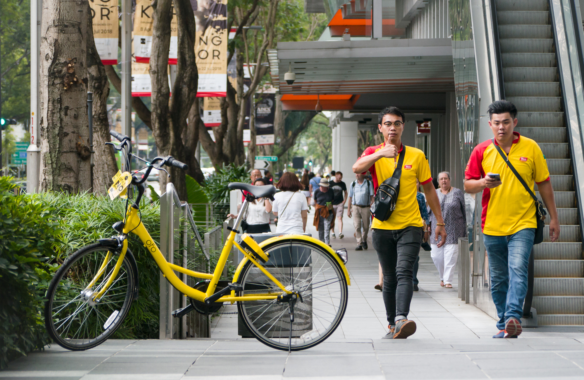 Panasonic Lumix DMC-G5 sample photo. Approved yellow photography