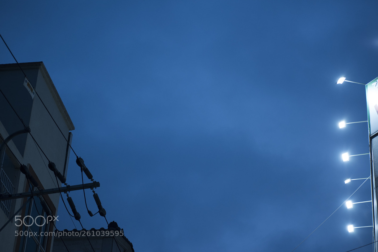 Nikon D810 sample photo. Lookup   no.12 photography