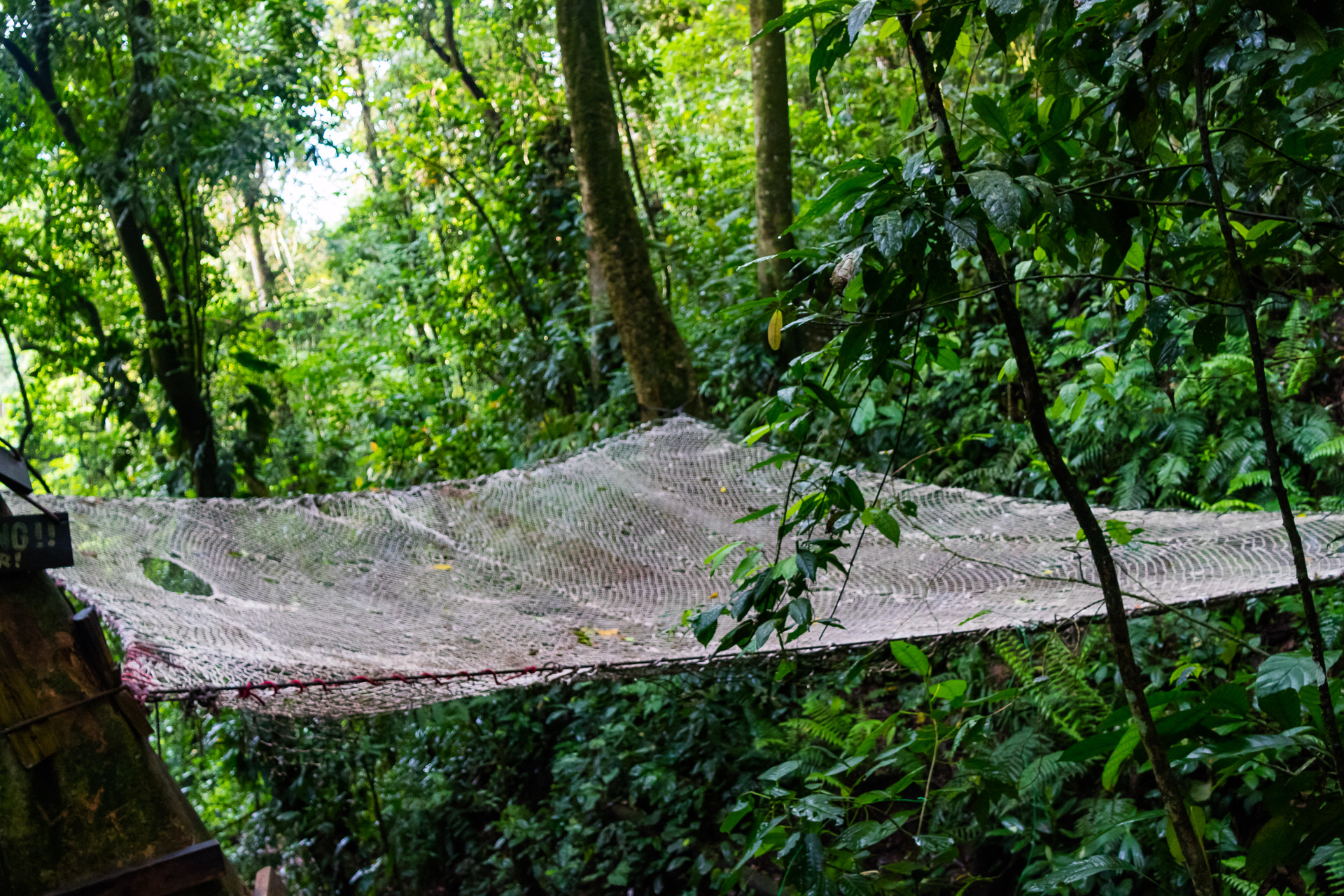 Canon EOS M3 sample photo. Jungle hammock photography