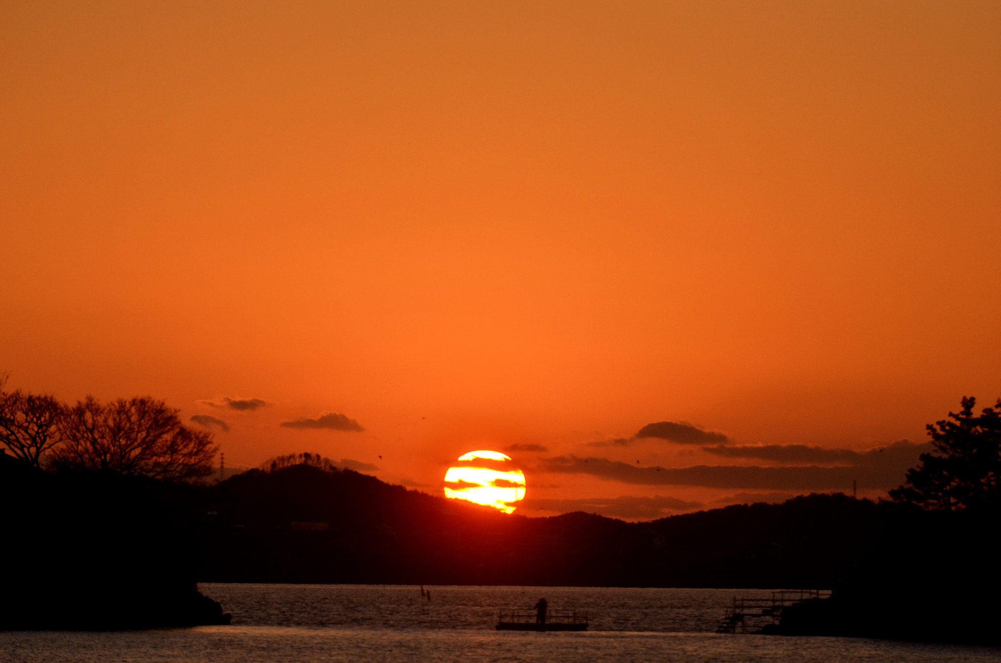 Nikon D7000 sample photo