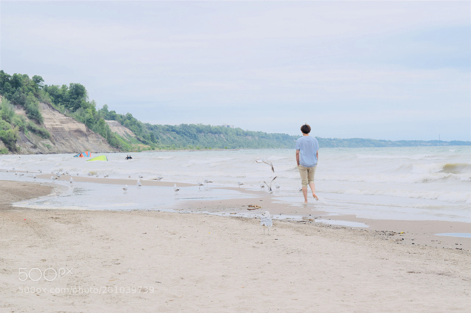Nikon D5300 sample photo. Untitled photography