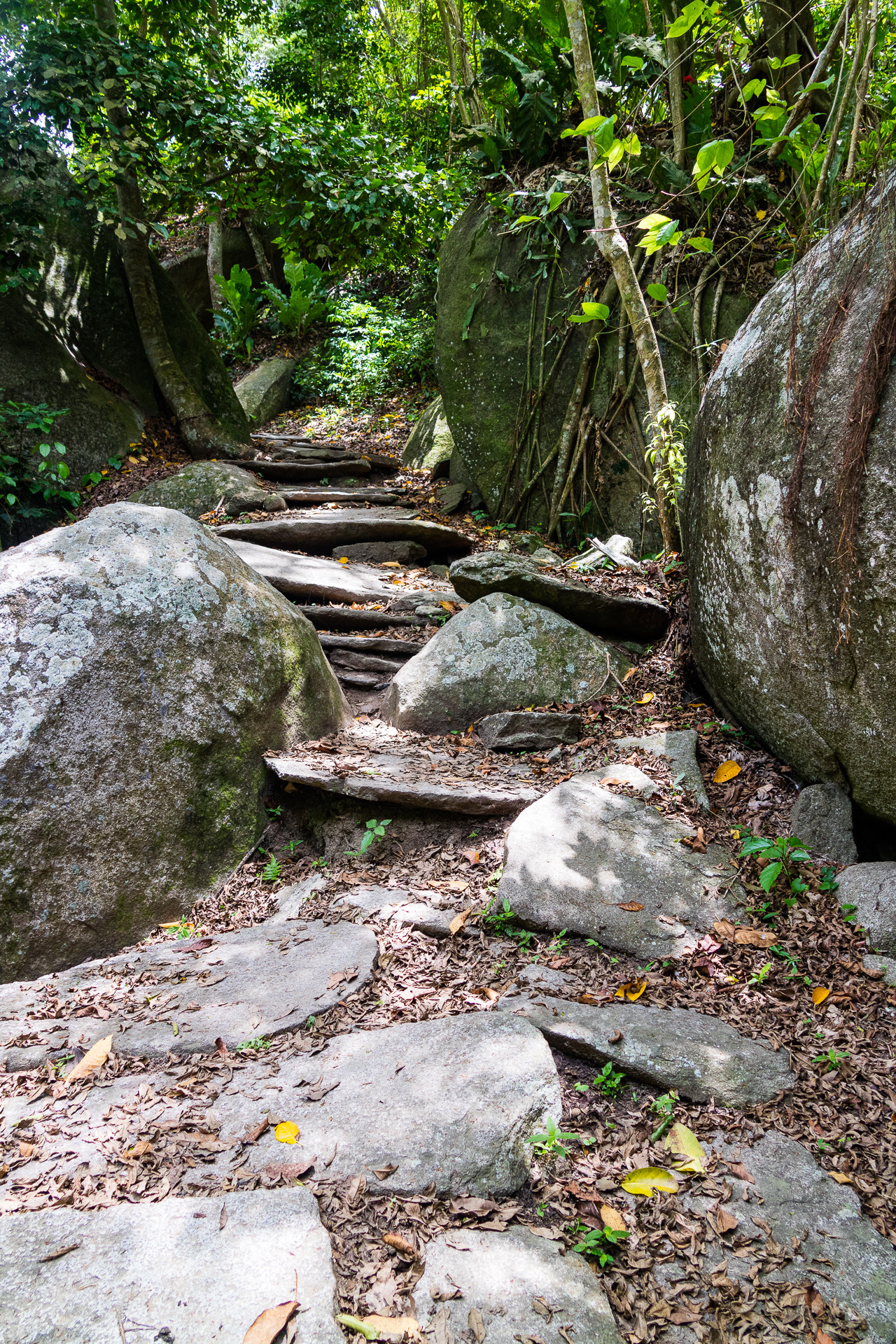 Canon EOS M3 sample photo. Hiking trail photography