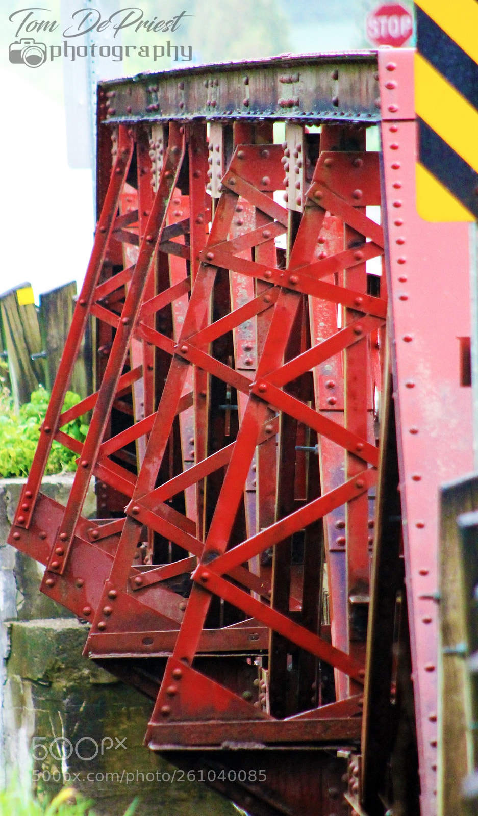 Canon EOS 1100D (EOS Rebel T3 / EOS Kiss X50) sample photo. I love rivets and photography