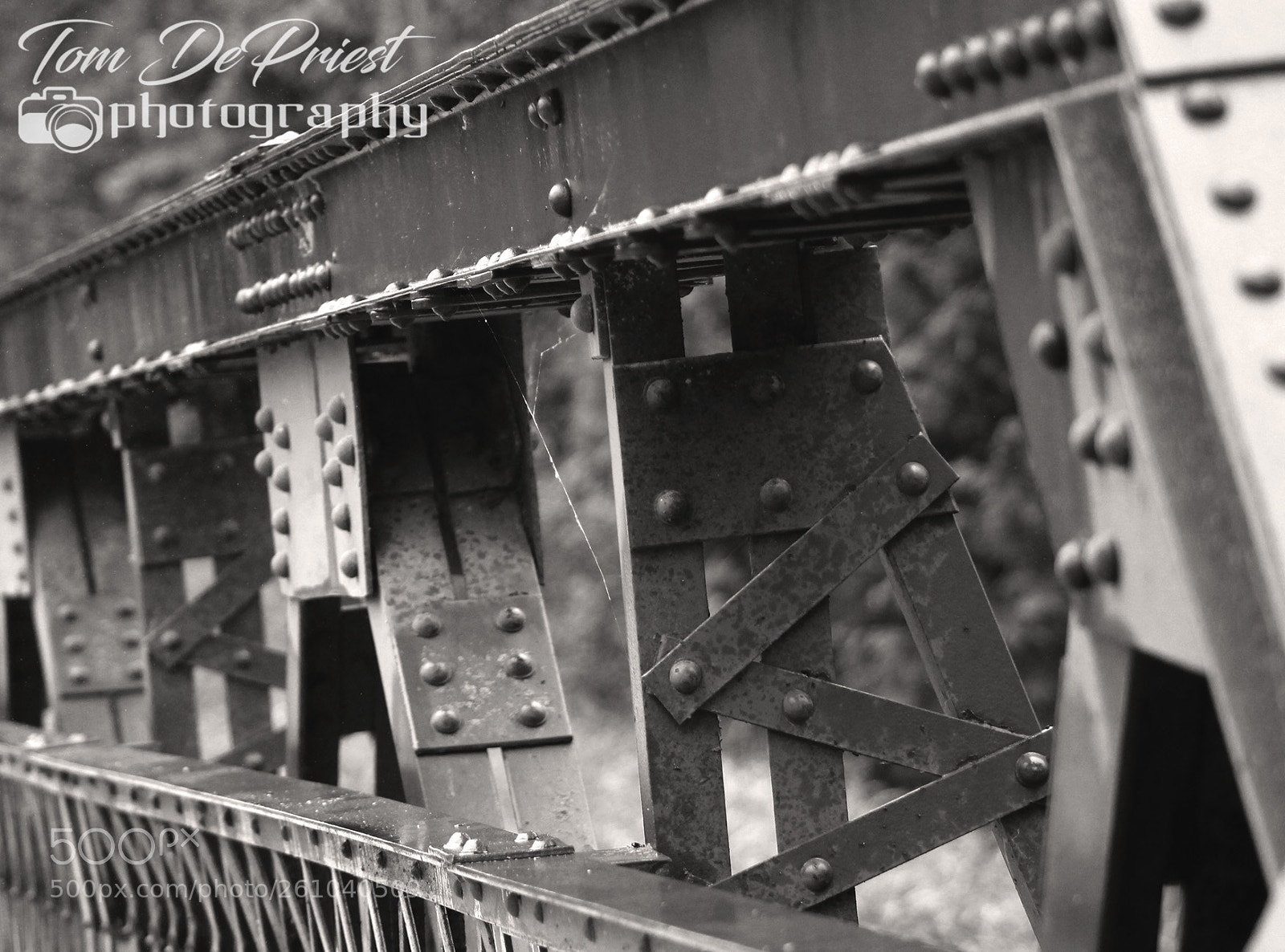 Canon EOS 1100D (EOS Rebel T3 / EOS Kiss X50) sample photo. I love rivets and photography