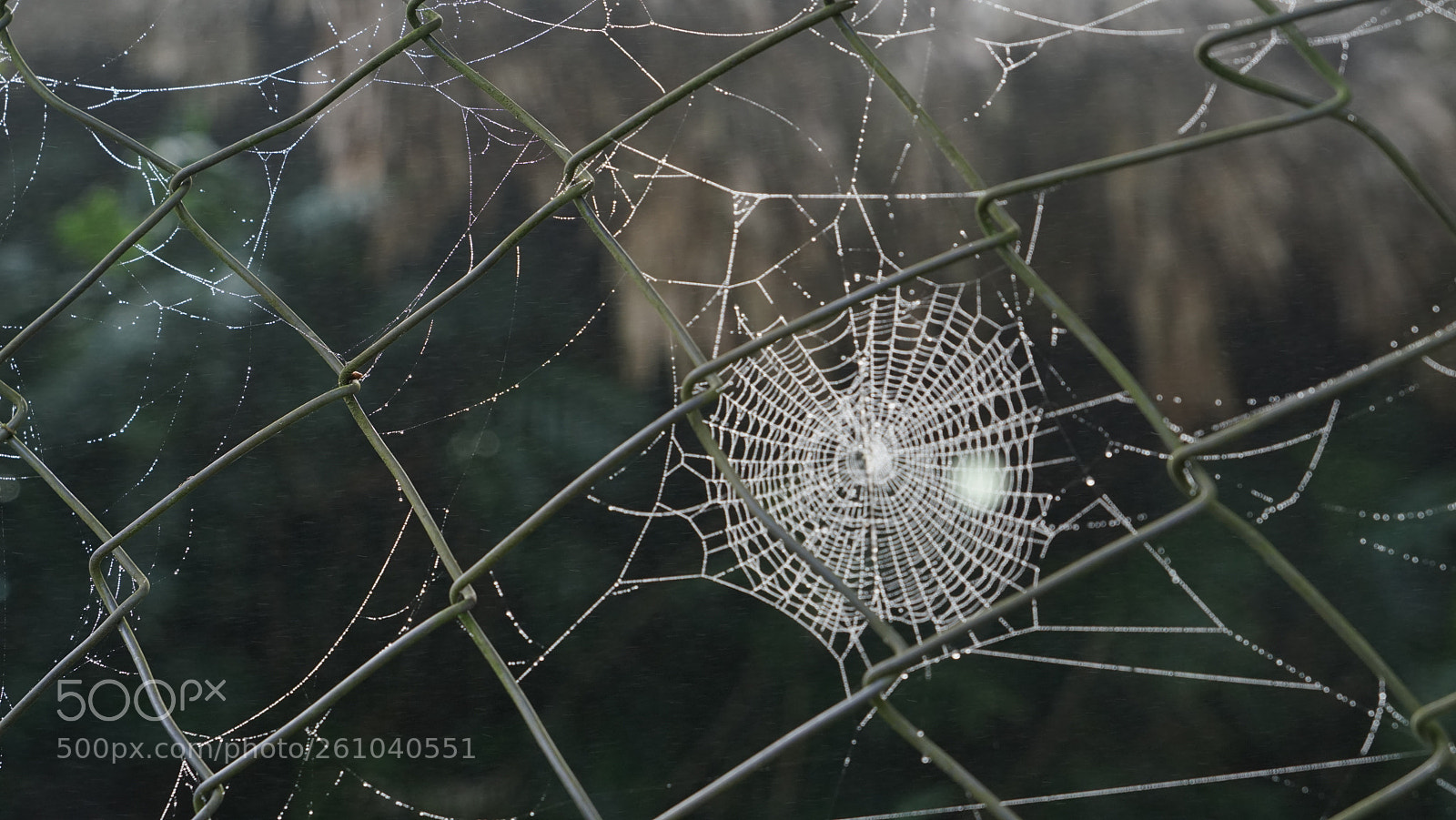 Sony a7R sample photo. Dsc photography