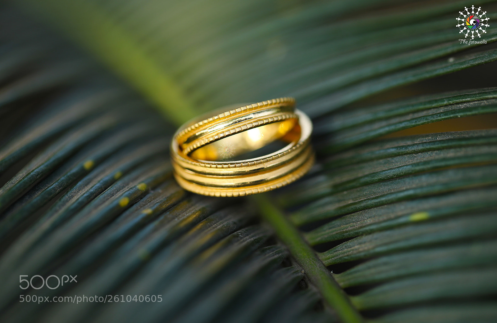 Canon EOS 5D Mark IV sample photo. Unforgettable memories photography