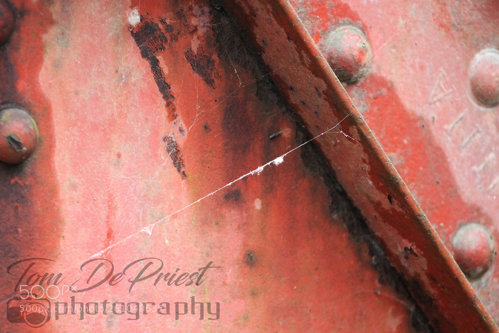 Canon EOS 1100D (EOS Rebel T3 / EOS Kiss X50) sample photo. I love rivets and photography