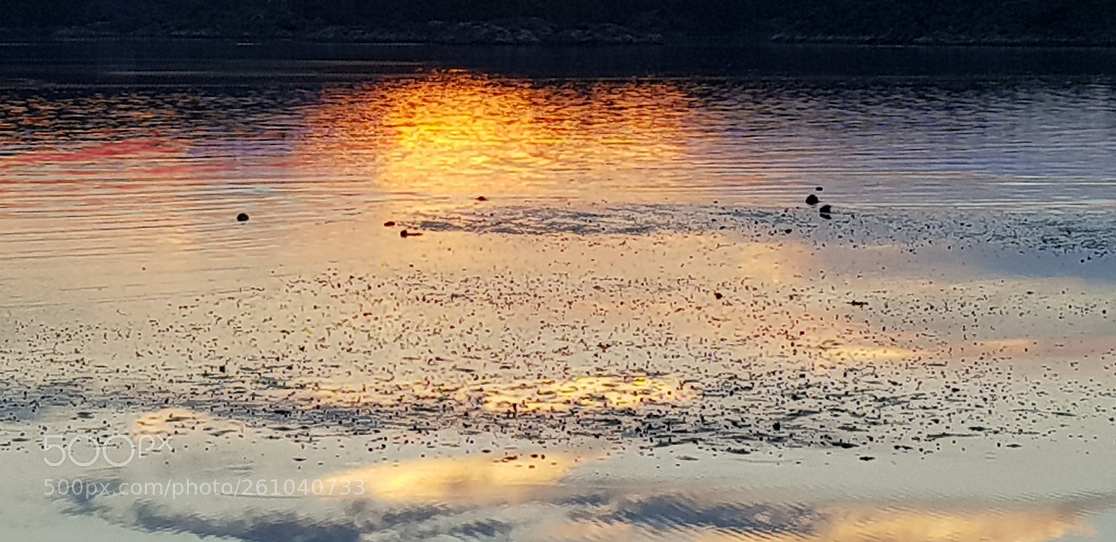 Samsung Galaxy S8 sample photo. Untitled photography