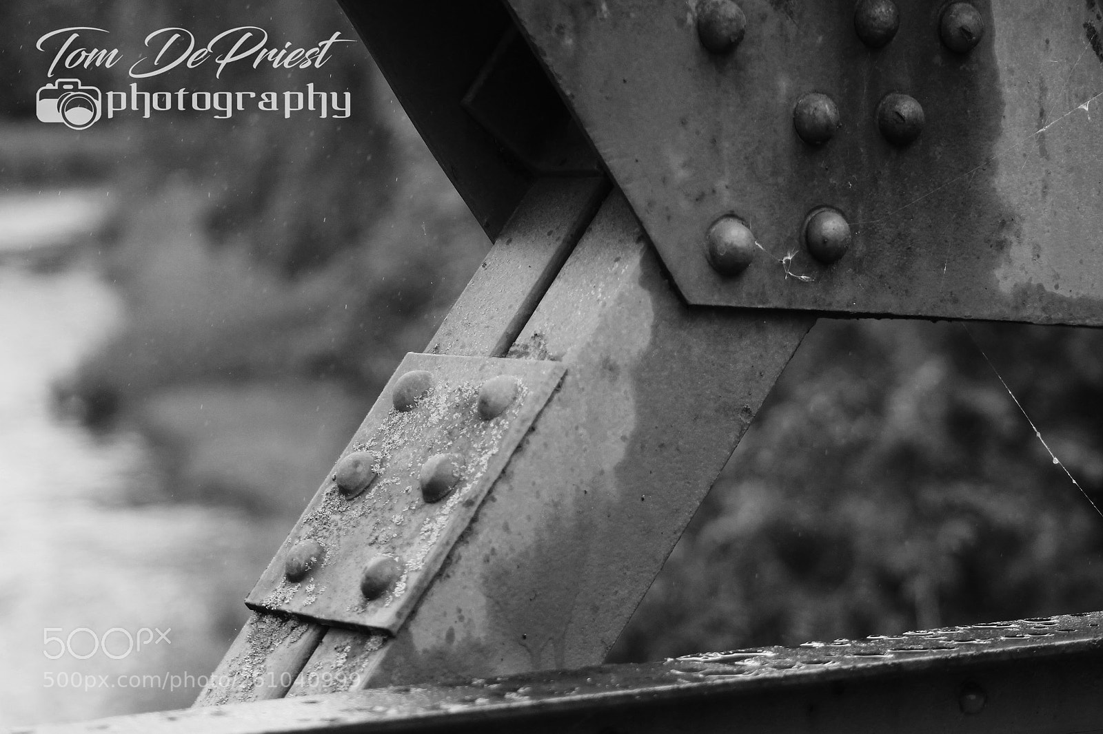 Canon EOS 1100D (EOS Rebel T3 / EOS Kiss X50) sample photo. I love rivets and photography