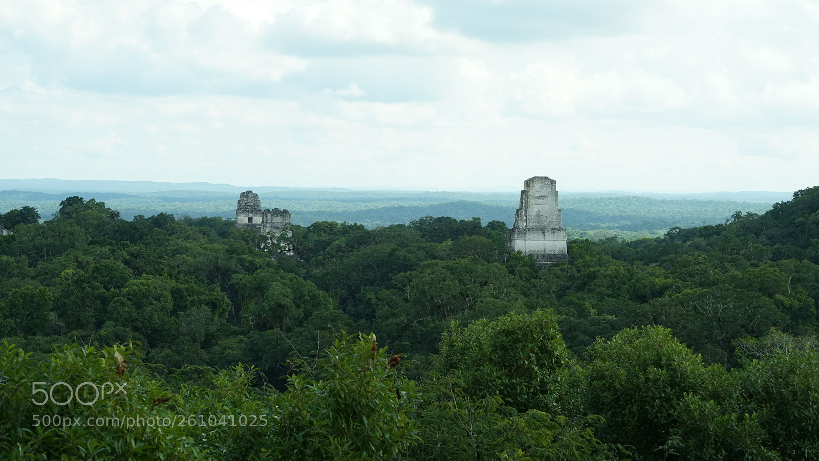 Sony a7R sample photo. Dsc photography