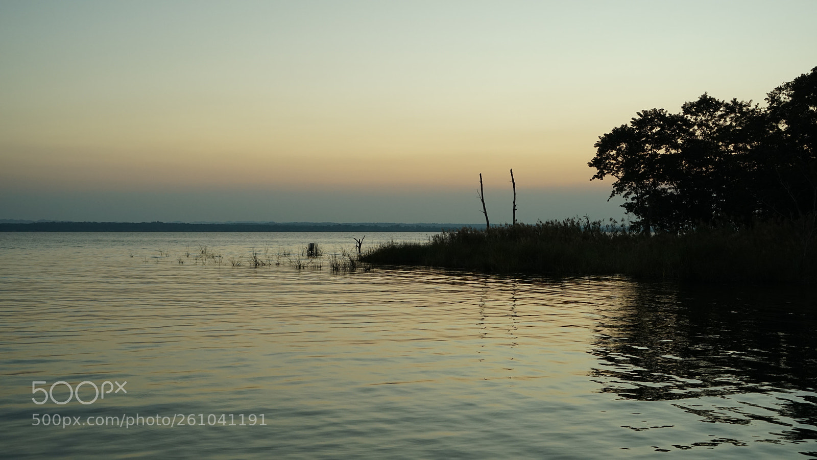 Sony a7R sample photo. Dsc photography
