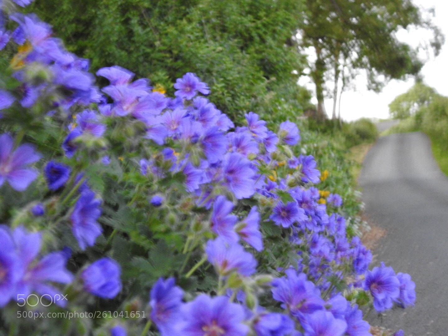 Nikon Coolpix P900 sample photo. Tonight  photography