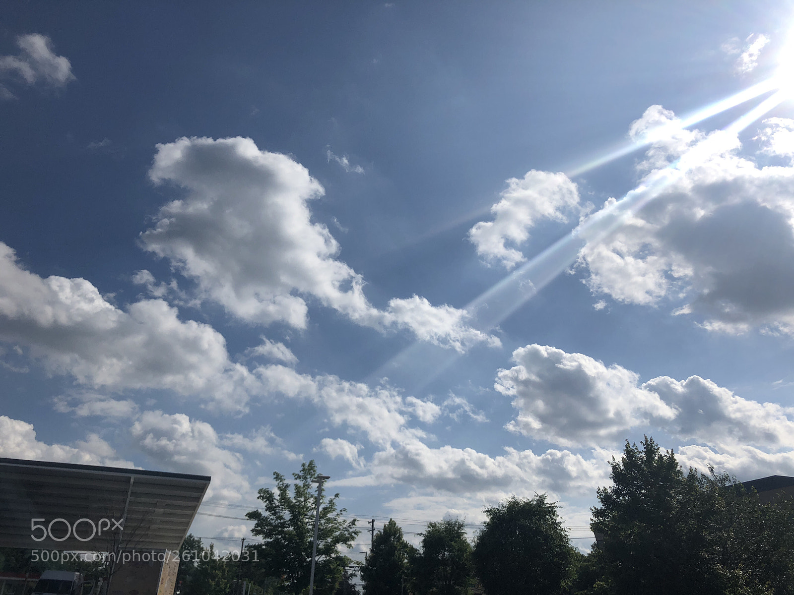 Apple iPhone 8 sample photo. Untitled photography