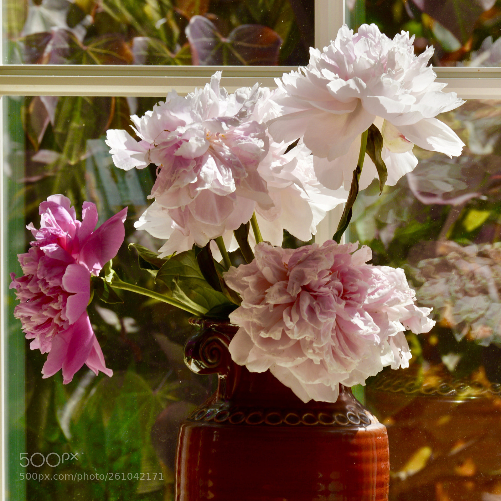Nikon D3200 sample photo. Peonies  photography