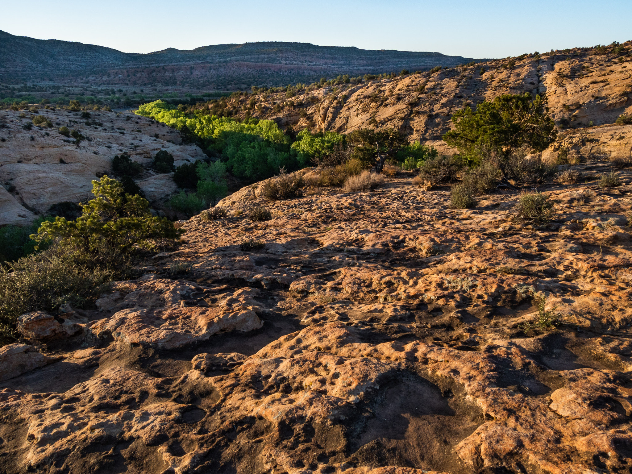 Olympus PEN E-PL7 sample photo. Arizona, usa photography