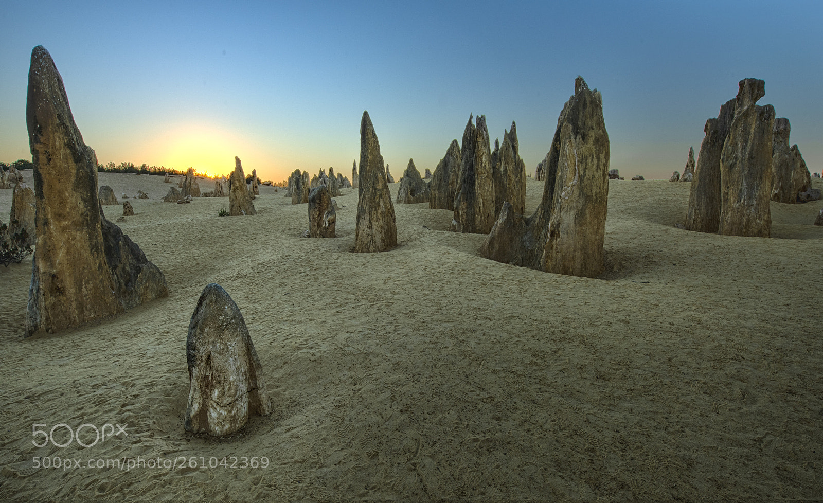 Nikon D810 sample photo. The pinnacles photography