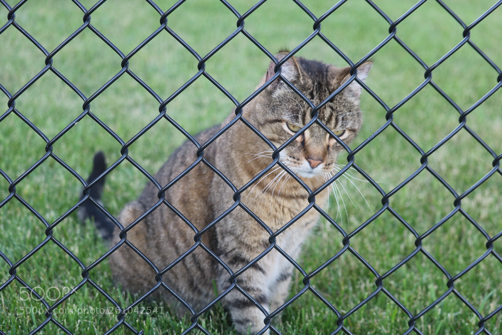 Canon EOS 750D (EOS Rebel T6i / EOS Kiss X8i) sample photo. Untitled photography