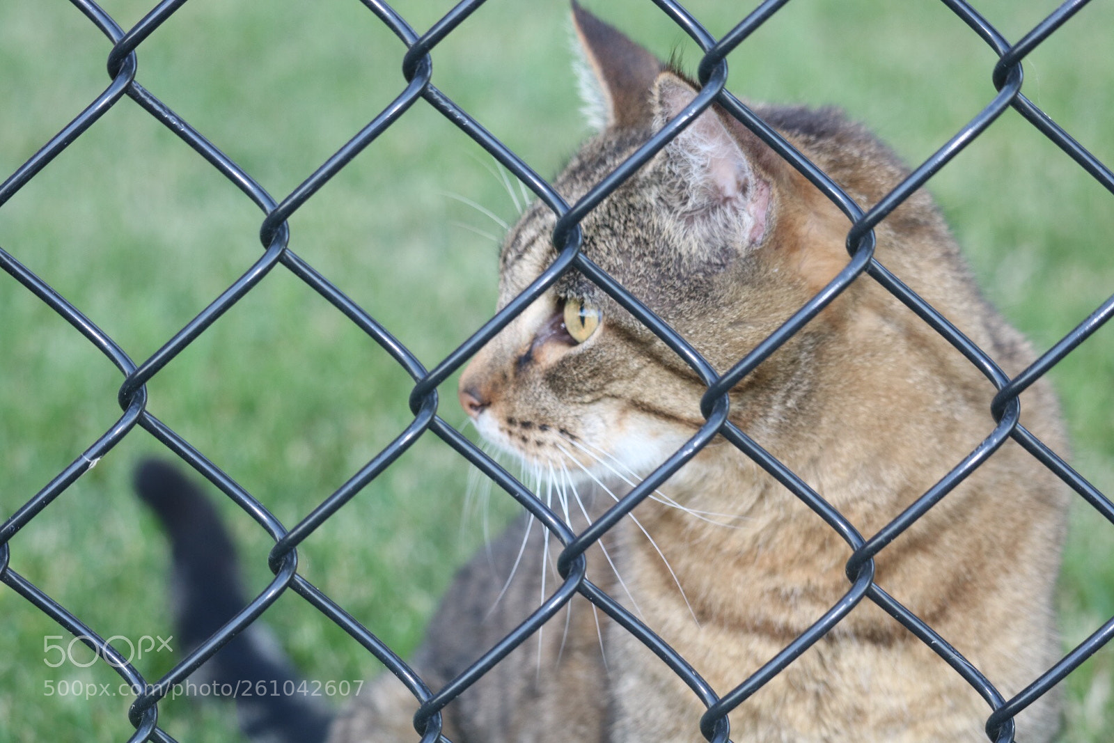 Canon EOS 750D (EOS Rebel T6i / EOS Kiss X8i) sample photo. Untitled photography