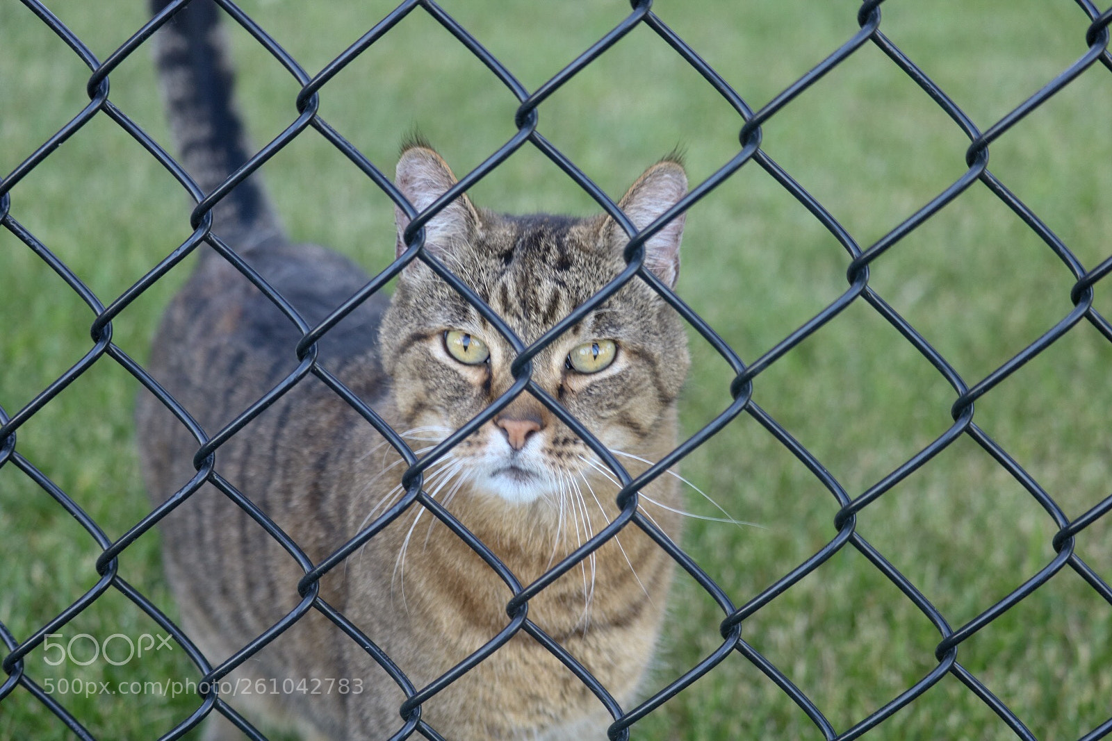 Canon EOS 750D (EOS Rebel T6i / EOS Kiss X8i) sample photo. Untitled photography