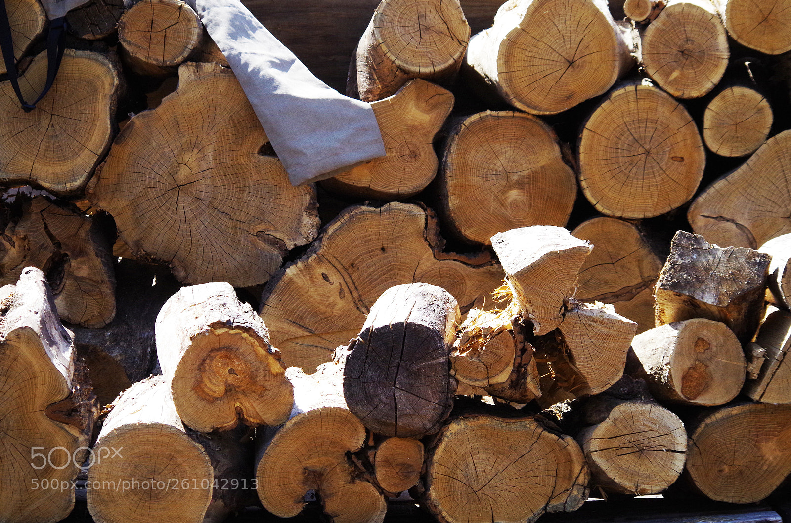 Pentax K-50 sample photo. Firewood! photography