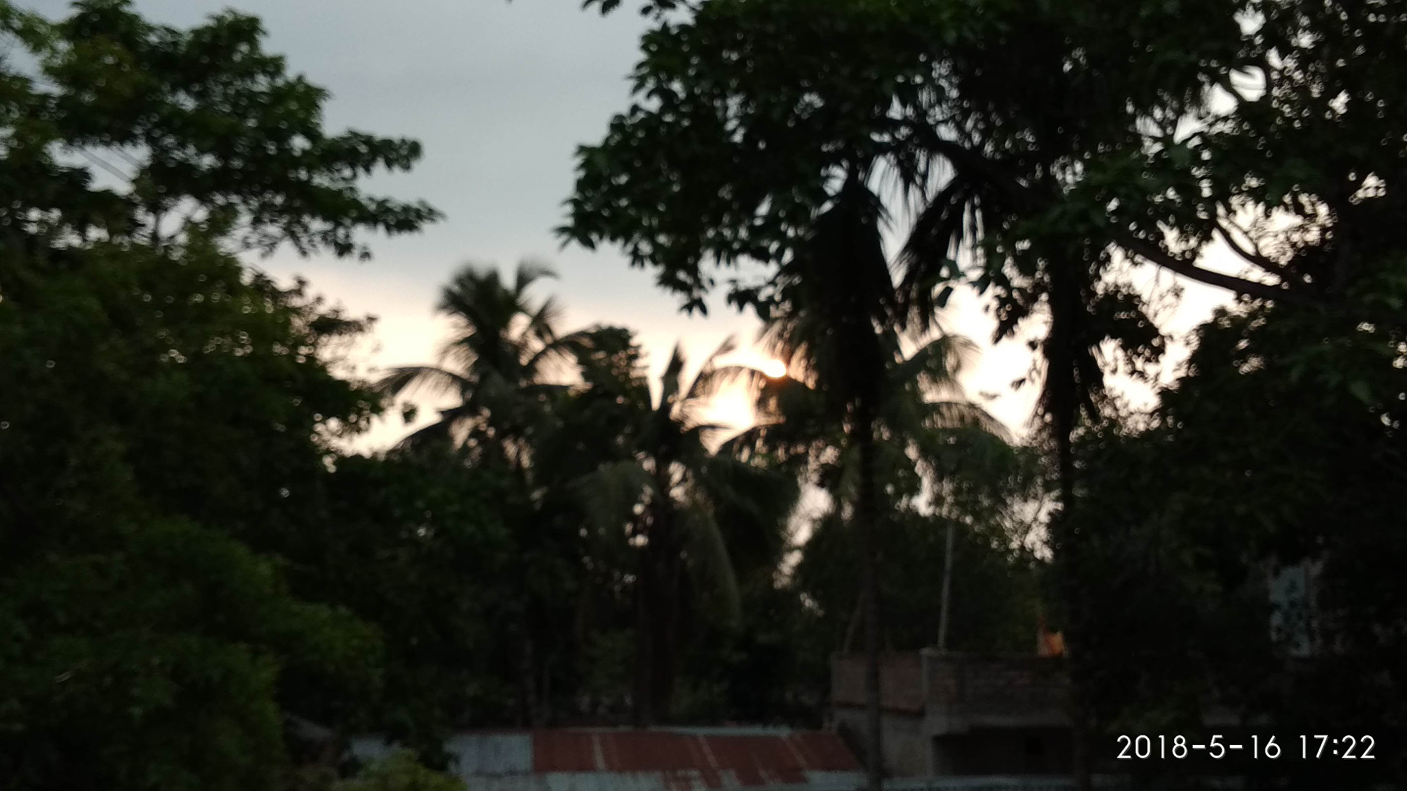Xiaomi Redmi 5A sample photo