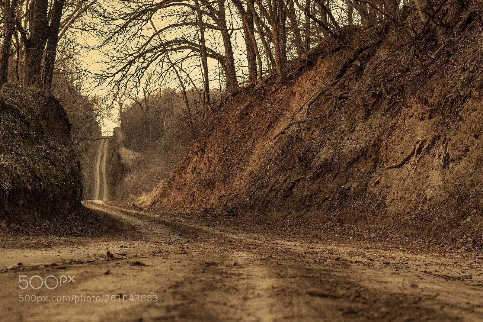 Canon EOS 70D sample photo. "bravin' the b roads" photography