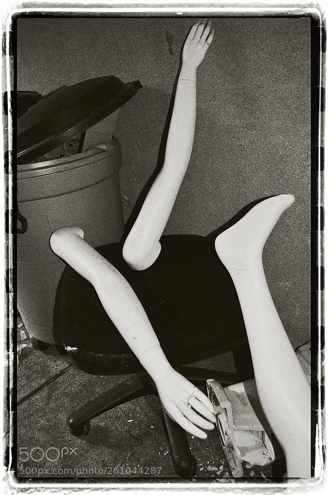 Nikon D5100 sample photo. An arm and a photography