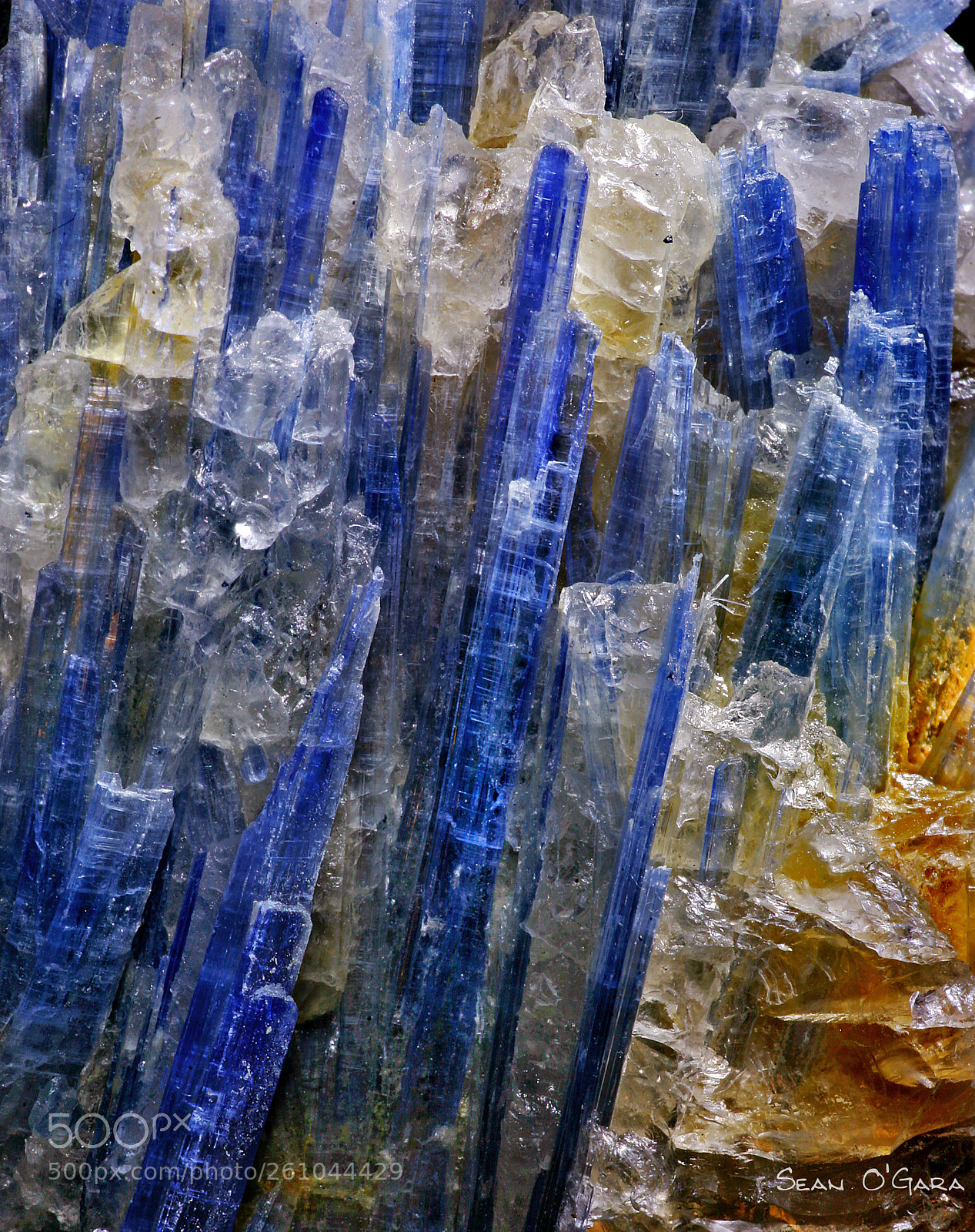 Canon EOS 5D sample photo. Kyanite crystals photography