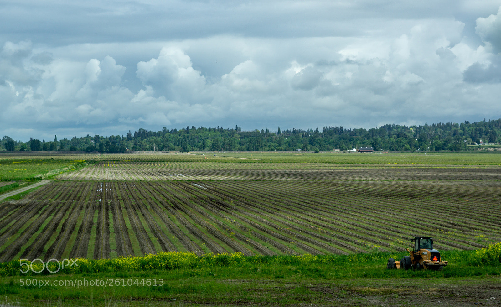 Sony a6000 sample photo. Snohomish countryside 1 photography