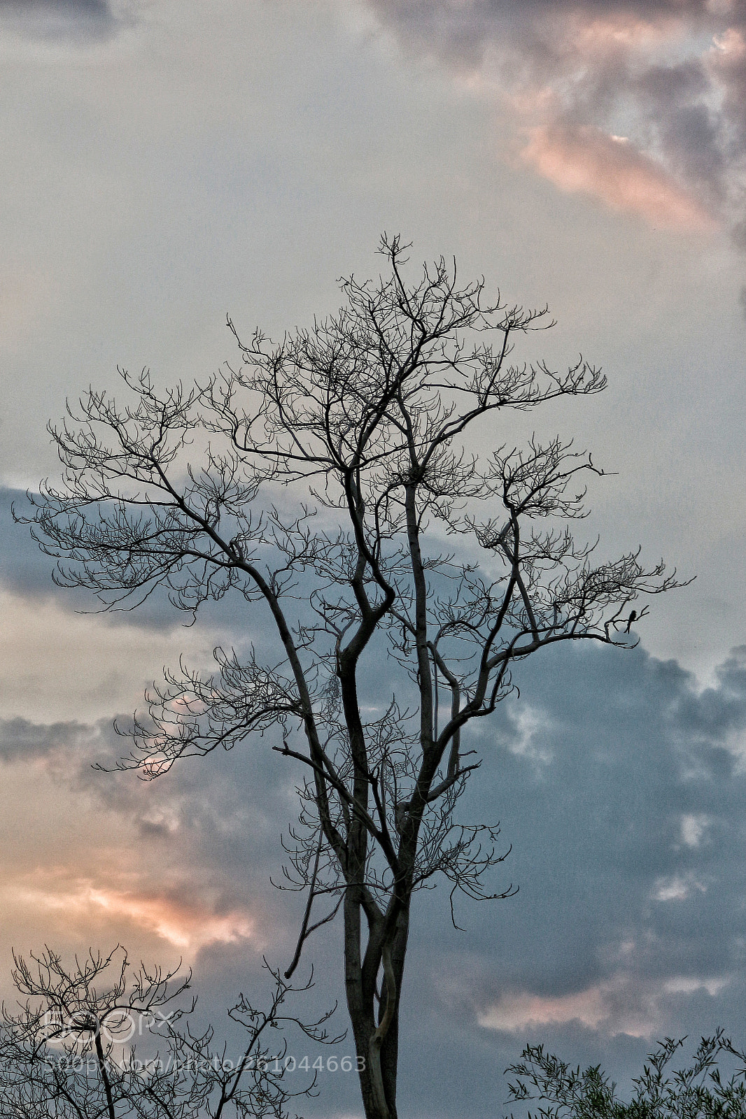 Canon EOS 700D (EOS Rebel T5i / EOS Kiss X7i) sample photo. Clouds photography