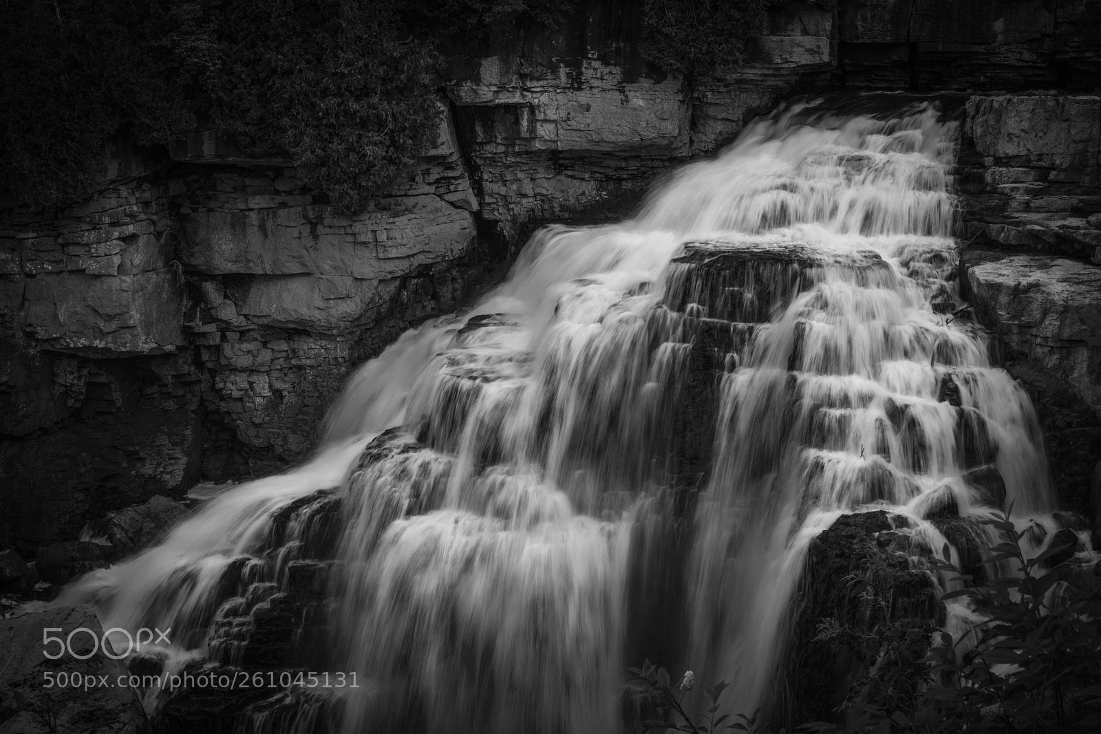 Nikon D5300 sample photo. Inglis falls b w photography