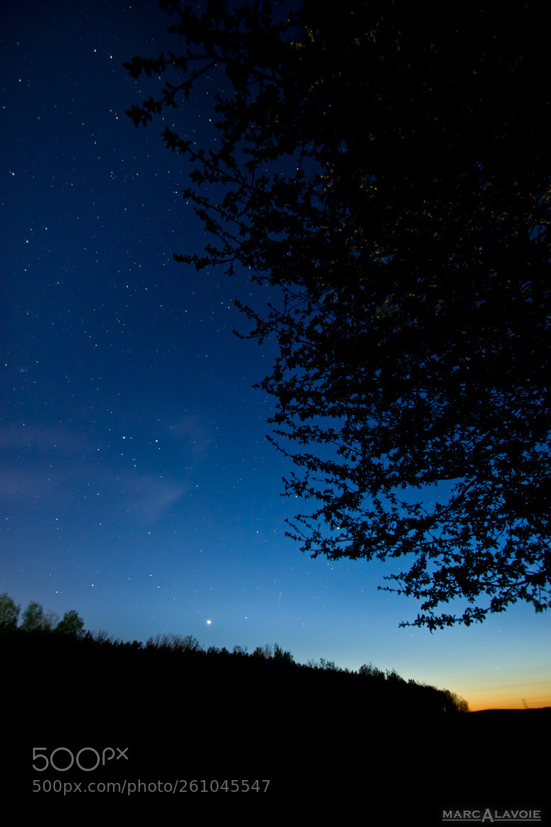 Pentax K-3 sample photo. Spring evening sky photography