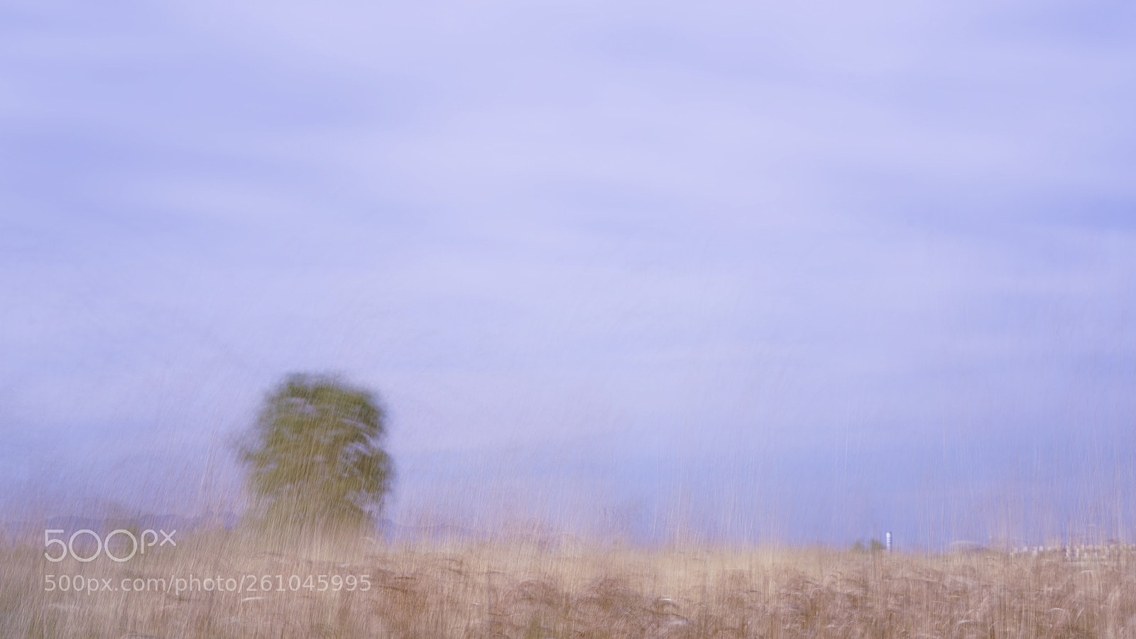 Sony a7R II sample photo. Solitude photography