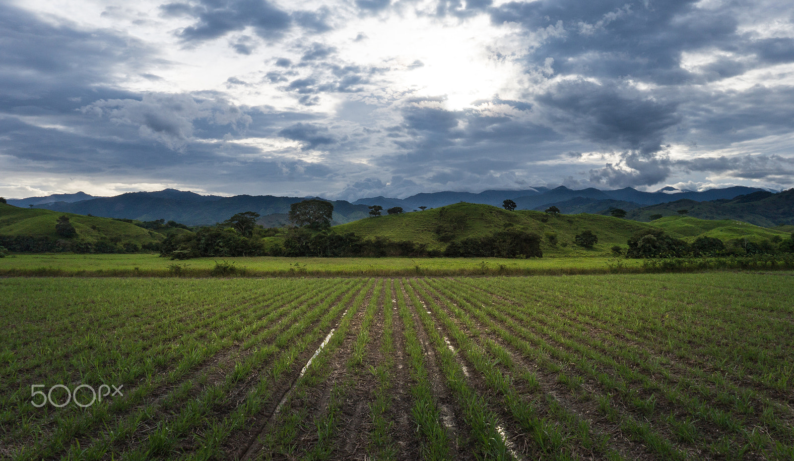 Sony Alpha a3500 sample photo. Naturaleza photography