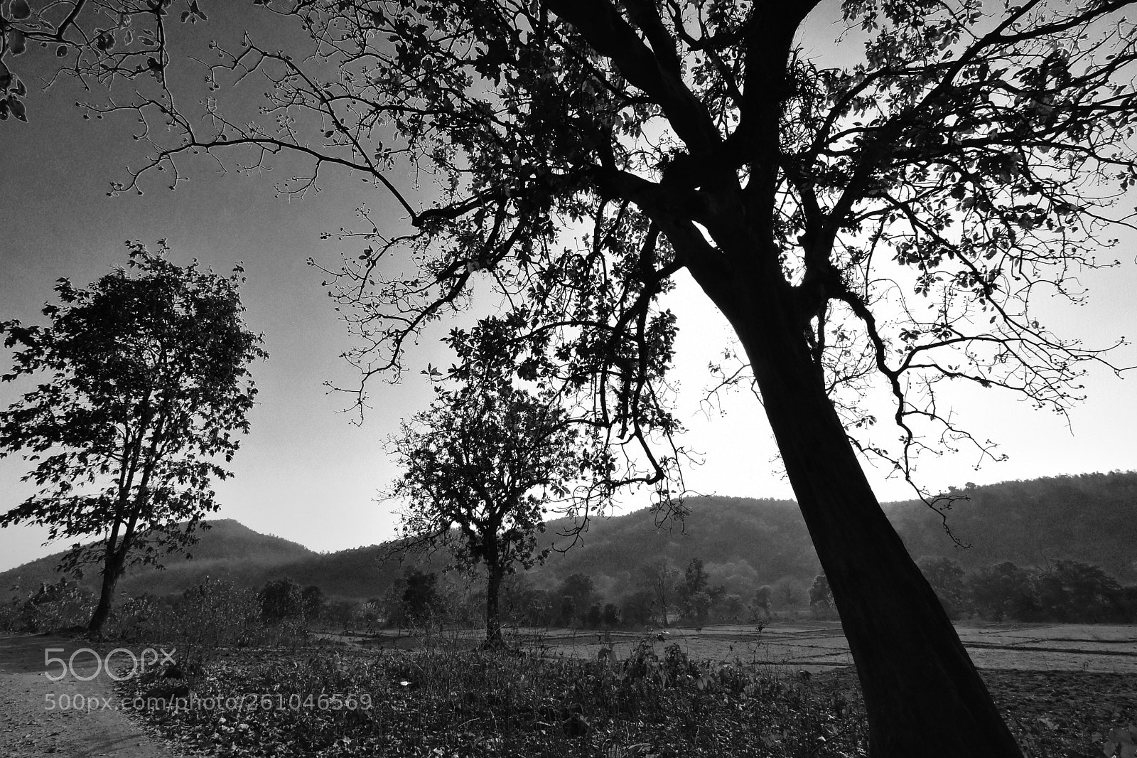 Nikon D7200 sample photo. World environment day photography
