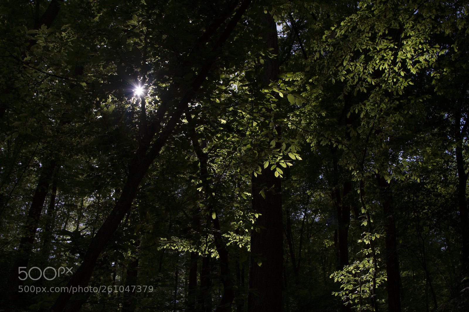 Canon EOS 7D sample photo. Img photography