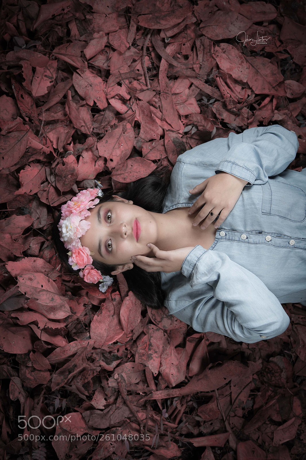 Nikon D5 sample photo. Untitled photography