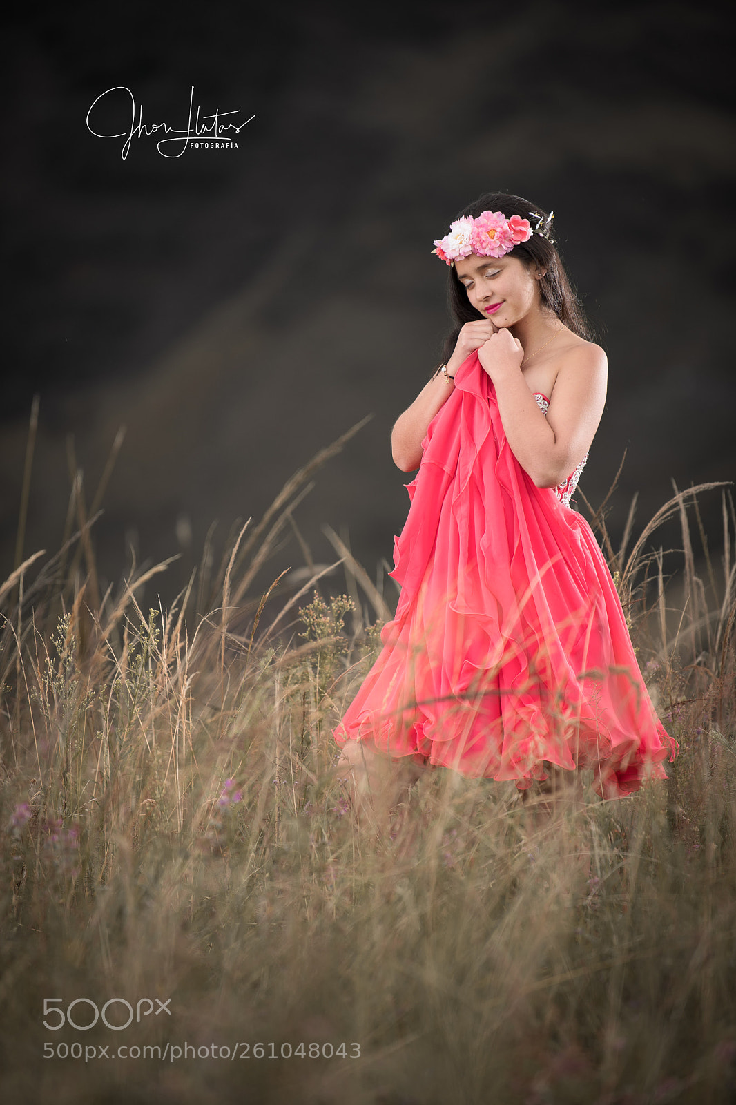 Nikon D5 sample photo. Untitled photography