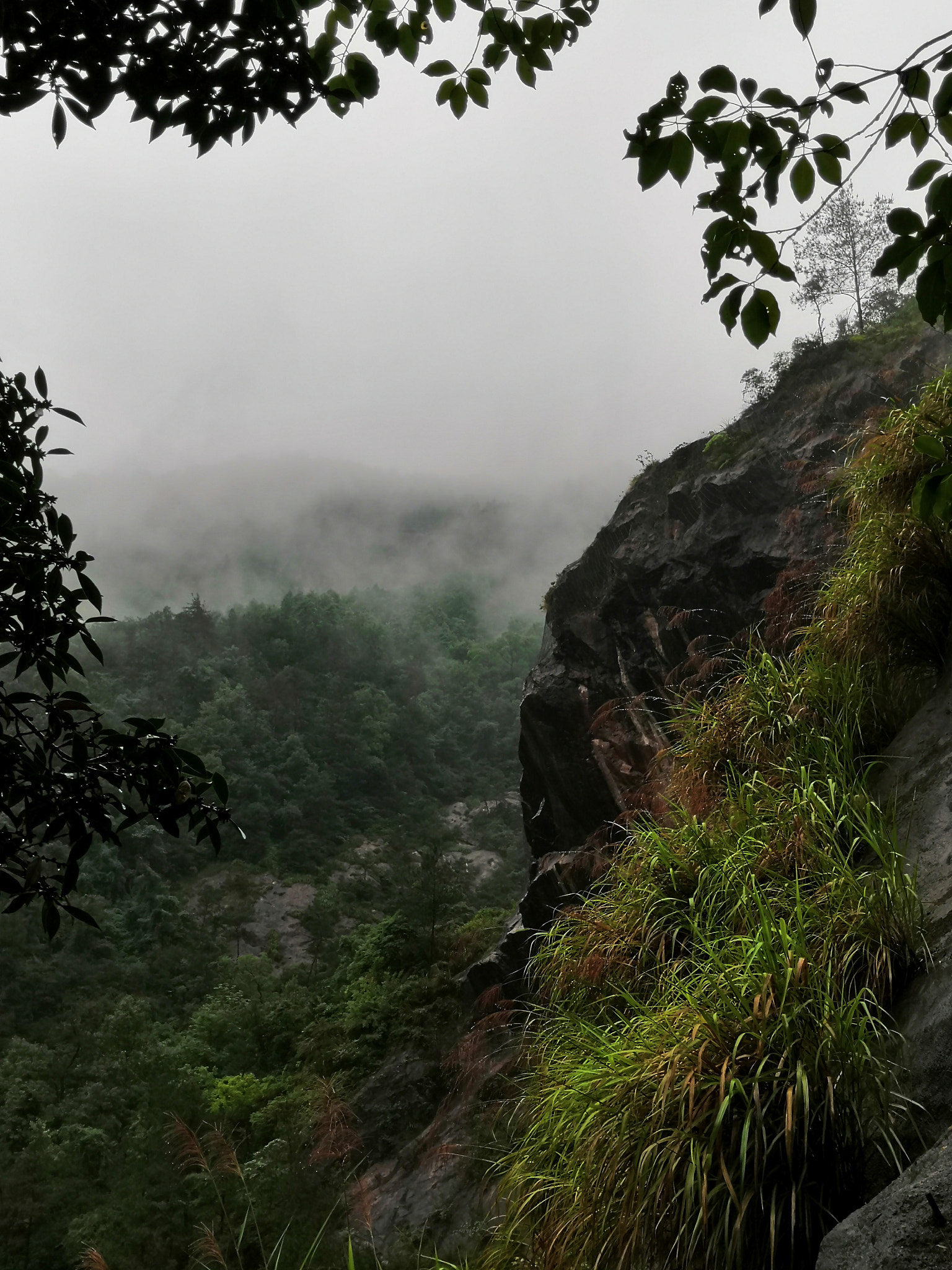 HUAWEI Honor 10 sample photo. Green mountain photography